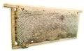 Wabenhonig